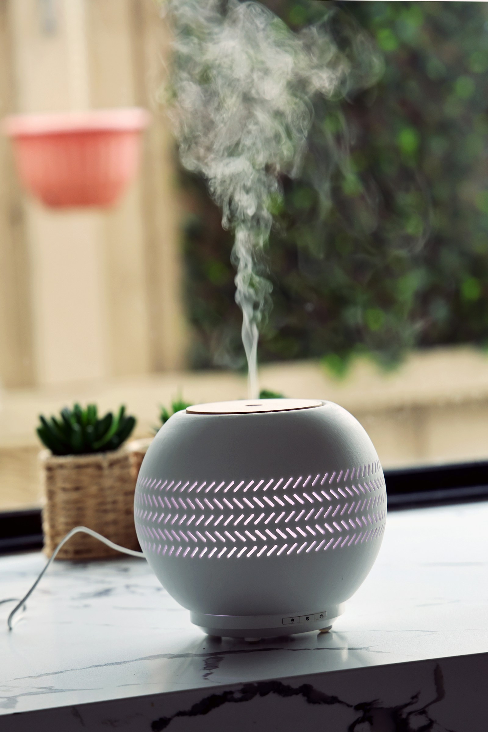 植物の横に置かれた加湿器
